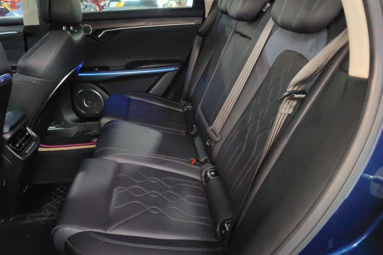 Used VOYAH FREE 2021 Four-Wheel Drive Standard Range-Extended Exclusive Luxury Package Left Rear Seat