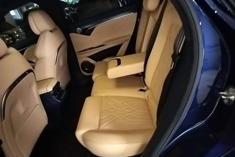 Used VOYAH FREE 2021 Four-Wheel Drive Standard Range-Extended Exclusive Luxury Package Left Rear Seat