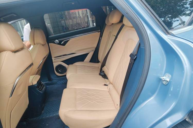 Used VOYAH FREE 2021 Four-Wheel Drive Standard All-Electric Exclusive Luxury Package Left Rear Seat