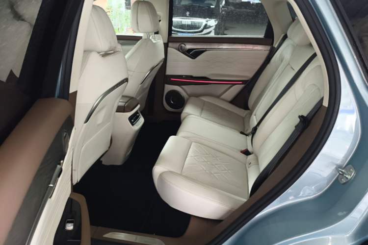 Used VOYAH FREE 2021 Four-Wheel Drive All-Electric First Edition Commemorative Edition Exclusive Luxury Package Left Rear Seat