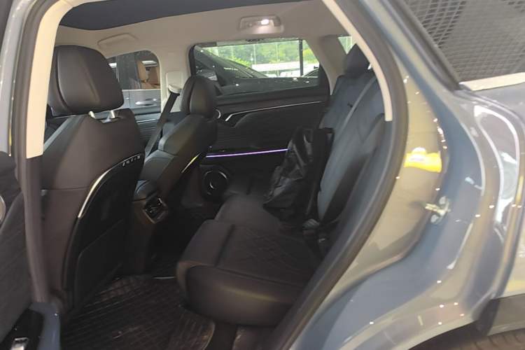 Used VOYAH FREE 2021 Two-Wheel Drive Standard Pure Electric City Edition Left Rear Seat
