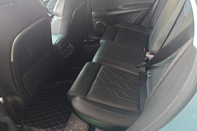 Used VOYAH FREE 2021 Four-Wheel Drive Standard All-Electric Exclusive Luxury Package Left Rear Seat