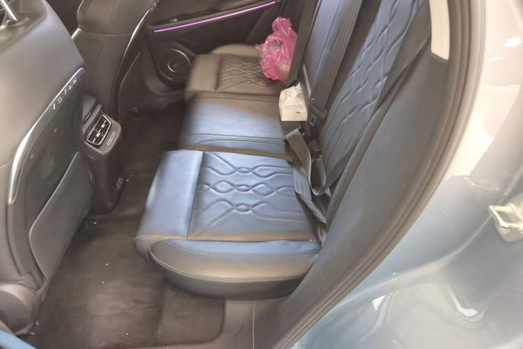 Used VOYAH FREE 2021 Four-Wheel Drive Standard Range-Extended Version Left Rear Seat