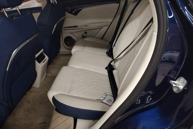 Used VOYAH FREE 2021 Four-Wheel Drive Standard Range-Extended Exclusive Luxury Package Left Rear Seat