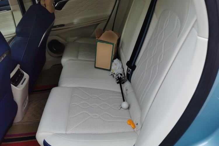 Used VOYAH FREE 2021 Four-Wheel Drive Standard Range-Extended Exclusive Luxury Package Left Rear Seat