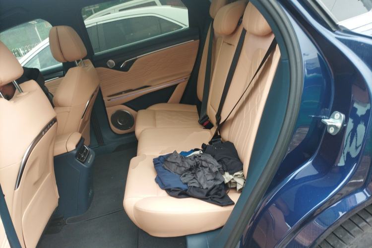 Used VOYAH FREE 2021 Four-Wheel Drive Standard Range-Extended Version Left Rear Seat