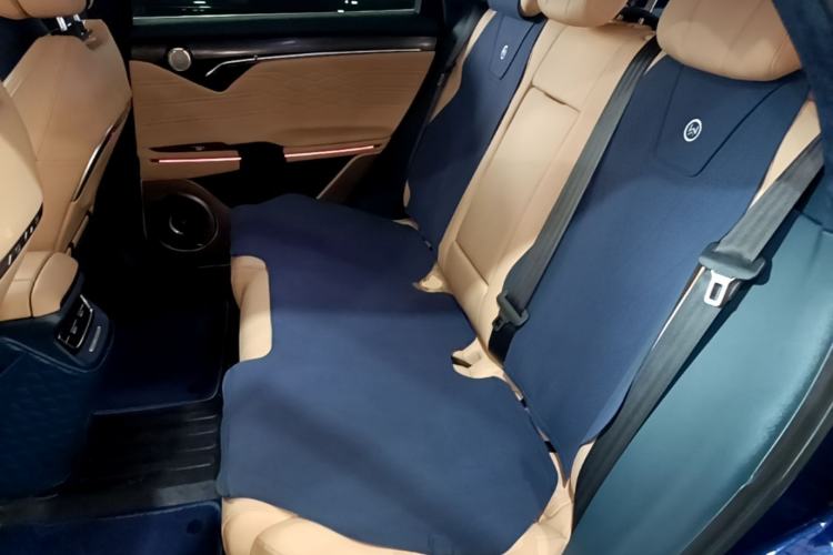 Used VOYAH FREE 2021 Four-Wheel Drive Standard Range-Extended Exclusive Luxury Package Left Rear Seat
