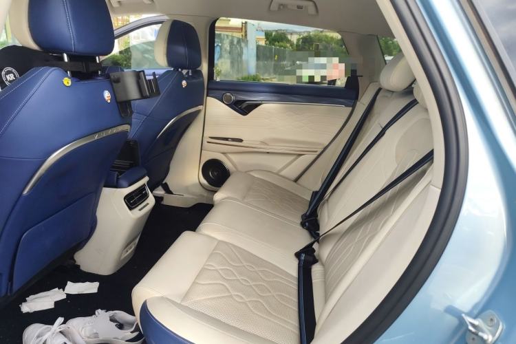 Used VOYAH FREE 2021 Four-Wheel Drive Standard Range-Extended Exclusive Luxury Package Left Rear Seat
