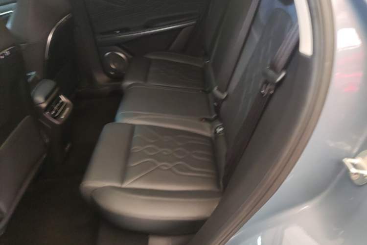 Used VOYAH FREE 2021 Four-Wheel Drive Standard Range-Extended Exclusive Luxury Package Left Rear Seat