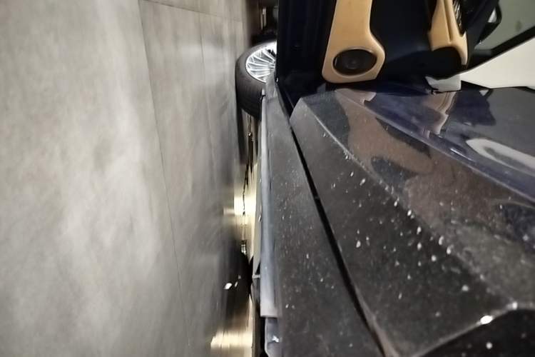 Used VOYAH FREE 2021 Four-Wheel Drive Standard Range-Extended Exclusive Luxury Package Left Side Sill