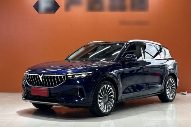 Used VOYAH FREE 2021 Four-Wheel Drive Standard All-Electric Exclusive Luxury Package