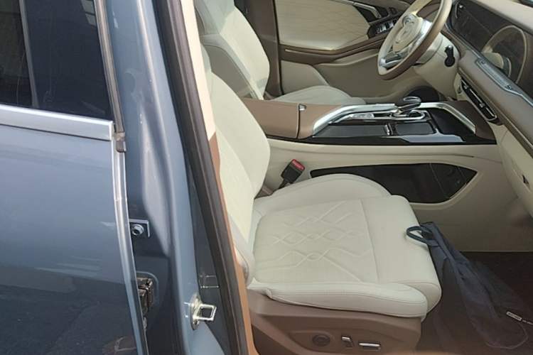 Used VOYAH FREE 2021 Four-Wheel Drive All-Electric First Edition Commemorative Edition Exclusive Luxury Package Right Front Seat