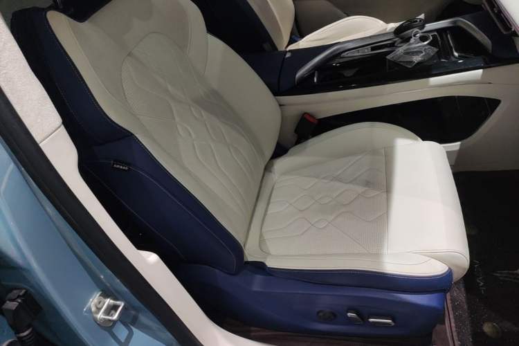 Used VOYAH FREE 2021 Four-Wheel Drive Standard Range-Extended Exclusive Luxury Package Right Front Seat