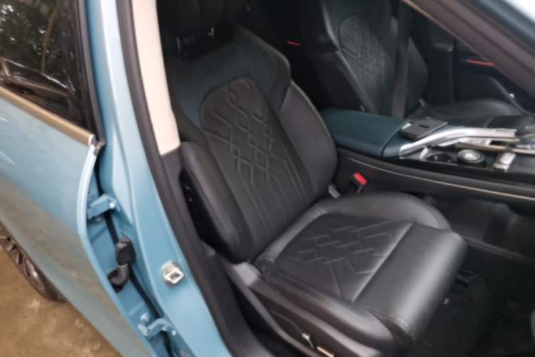 Used VOYAH FREE 2021 Two-Wheel Drive Standard Pure Electric Version Right Front Seat