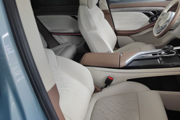 Used VOYAH FREE 2021 Four-Wheel Drive Standard All-Electric Exclusive Luxury Package Right Front Seat