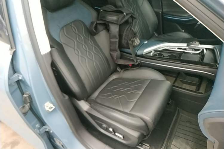 Used VOYAH FREE 2021 Four-Wheel Drive Standard Range-Extended Exclusive Luxury Package Right Front Seat