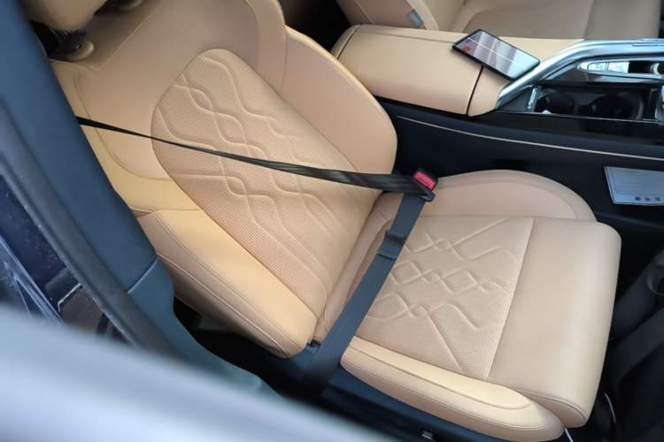 Used VOYAH FREE 2021 Four-Wheel Drive Standard Range-Extended Exclusive Luxury Package Right Front Seat