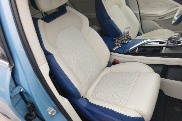Used VOYAH FREE 2021 Four-Wheel Drive Standard All-Electric Exclusive Luxury Package Right Front Seat