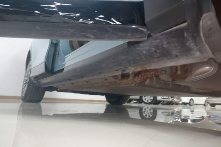 Used VOYAH FREE 2021 Four-Wheel Drive Standard Range-Extended Exclusive Luxury Package Right Side Sill