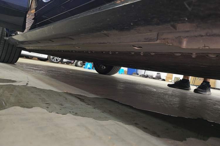 Used VOYAH FREE 2021 Two-Wheel Drive Standard Pure Electric City Edition Right Side Sill