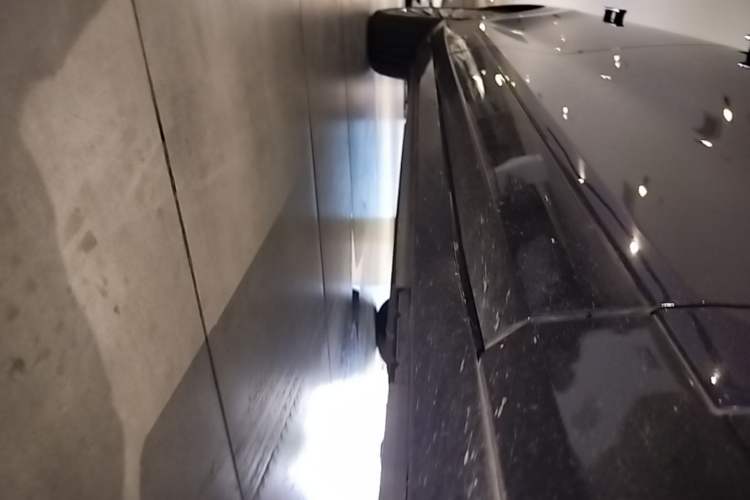 Used VOYAH FREE 2021 Four-Wheel Drive Standard Range-Extended Exclusive Luxury Package Right Side Sill