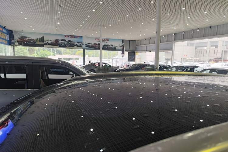Used VOYAH FREE 2021 Two-Wheel Drive Standard Pure Electric City Edition Roof