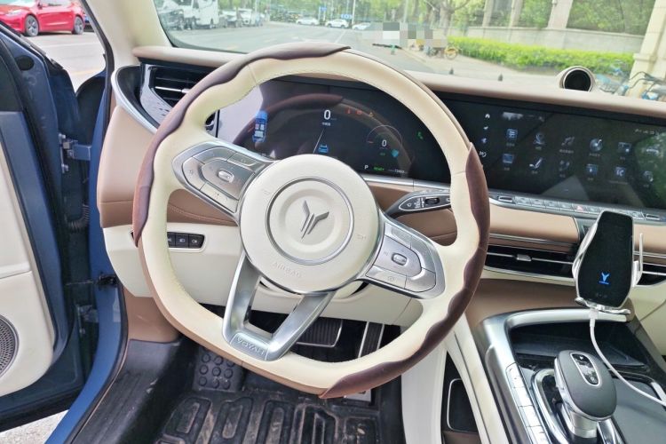 Used VOYAH FREE 2021 Four-Wheel Drive Standard All-Electric Exclusive Luxury Package Steering Wheel