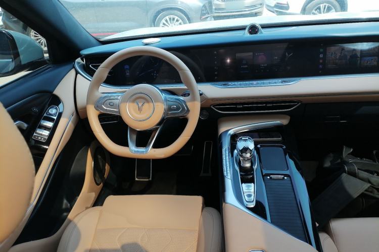 Used VOYAH FREE 2021 Four-Wheel Drive Standard All-Electric Exclusive Luxury Package Steering Wheel