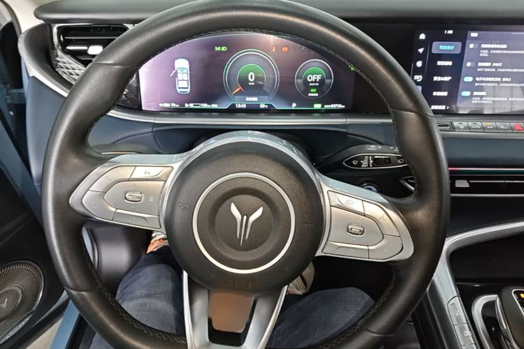 Used VOYAH FREE 2021 Four-Wheel Drive Standard Range-Extended Exclusive Luxury Package Steering Wheel
