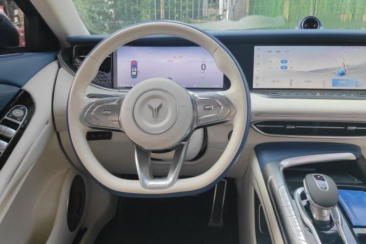 Used VOYAH FREE 2021 Four-Wheel Drive Extended-Range First Edition Commemorative Edition Exclusive Luxury Package Steering Wheel
