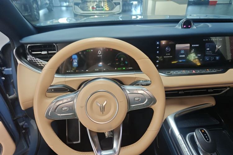 Used VOYAH FREE 2021 Four-Wheel Drive Standard Range-Extended Exclusive Luxury Package Steering Wheel