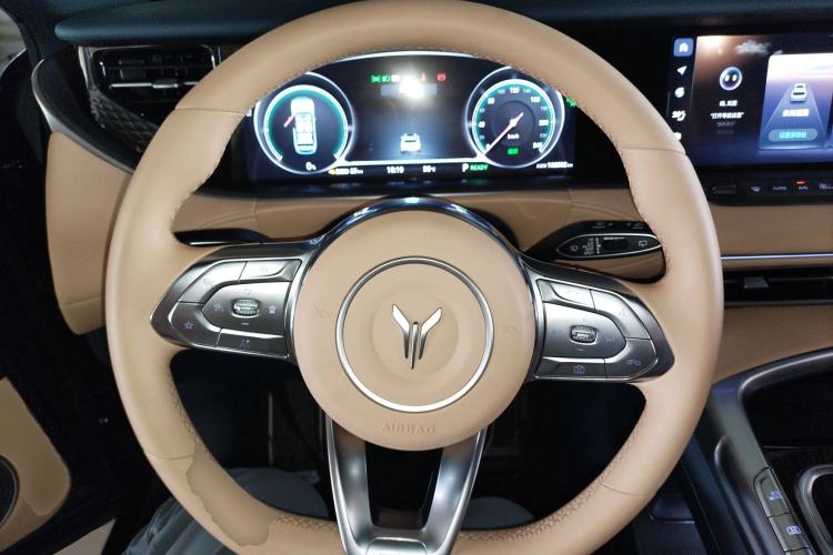 Used VOYAH FREE 2021 Two-Wheel Drive Standard Pure Electric City Edition Steering Wheel