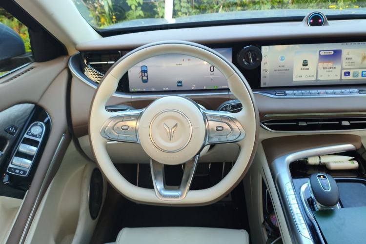 Used VOYAH FREE 2021 Four-Wheel Drive Standard Range-Extended Exclusive Luxury Package Steering Wheel