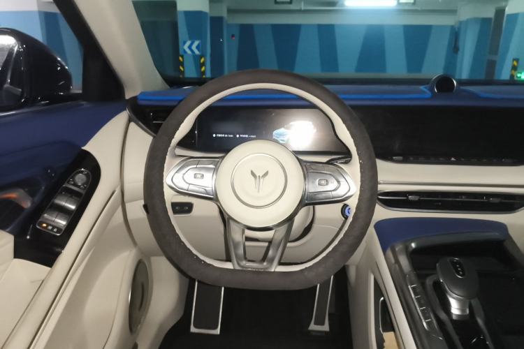 Used VOYAH FREE 2021 Four-Wheel Drive Standard Range-Extended Exclusive Luxury Package Steering Wheel
