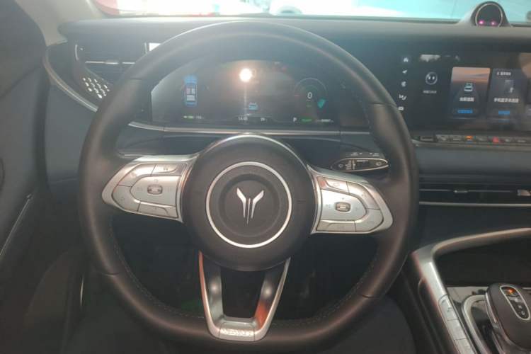 Used VOYAH FREE 2021 Four-Wheel Drive Standard All-Electric Exclusive Luxury Package Steering Wheel