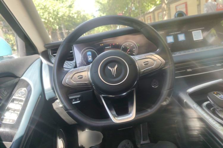 Used VOYAH FREE 2021 Four-Wheel Drive Extended-Range First Edition Commemorative Edition Exclusive Luxury Package Steering Wheel