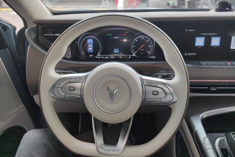 Used VOYAH FREE 2021 Four-Wheel Drive Standard All-Electric Exclusive Luxury Package Steering Wheel