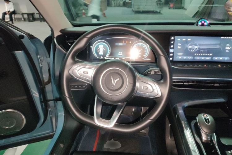 Used VOYAH FREE 2021 Two-Wheel Drive Standard Pure Electric City Edition Steering Wheel