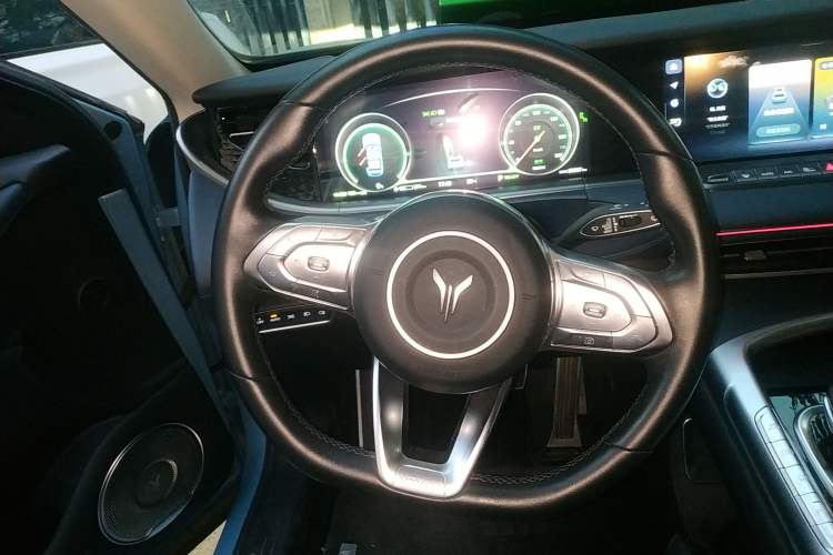 Used VOYAH FREE 2021 Four-Wheel Drive Standard Range-Extended Exclusive Luxury Package Steering Wheel