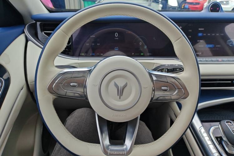 Used VOYAH FREE 2021 Four-Wheel Drive Extended-Range First Edition Commemorative Edition Exclusive Luxury Package Steering Wheel