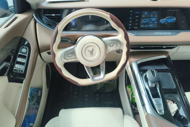 Used VOYAH FREE 2021 Four-Wheel Drive Standard All-Electric Exclusive Luxury Package Steering Wheel