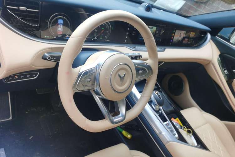 Used VOYAH FREE 2021 Four-Wheel Drive Standard Range-Extended Exclusive Luxury Package Steering Wheel