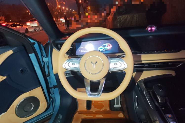 Used VOYAH FREE 2021 Four-Wheel Drive Standard All-Electric Exclusive Luxury Package Steering Wheel
