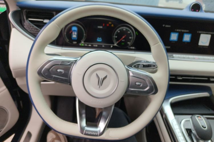 Used VOYAH FREE 2021 Four-Wheel Drive Standard All-Electric Exclusive Luxury Package Steering Wheel
