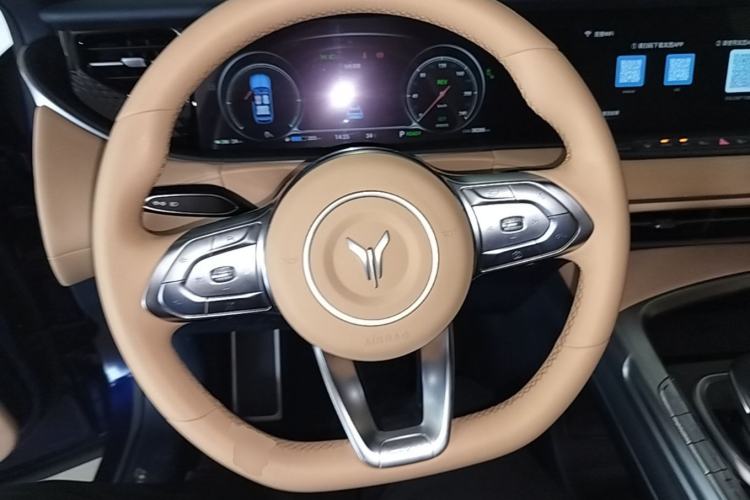Used VOYAH FREE 2021 Four-Wheel Drive Standard Range-Extended Exclusive Luxury Package Steering Wheel