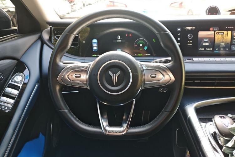 Used VOYAH FREE 2021 Four-Wheel Drive Standard All-Electric Exclusive Luxury Package Steering Wheel