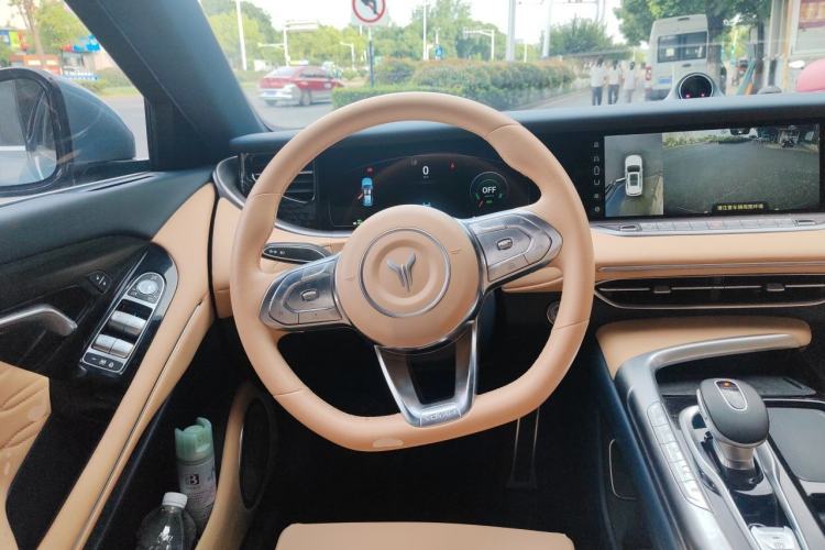 Used VOYAH FREE 2021 Four-Wheel Drive Standard All-Electric Exclusive Luxury Package Steering Wheel