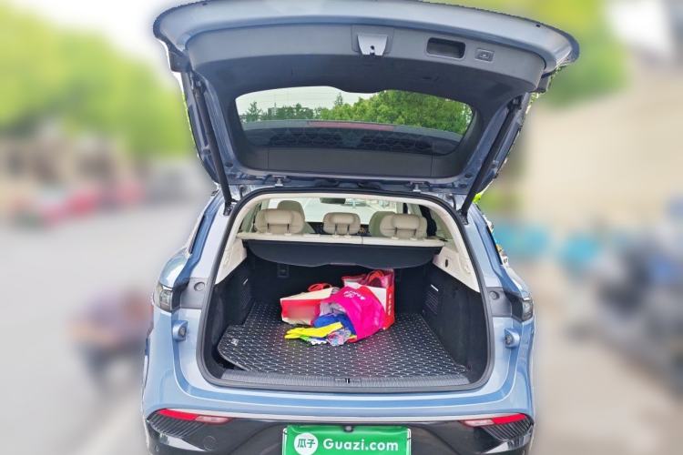 Used VOYAH FREE 2021 Four-Wheel Drive Standard All-Electric Exclusive Luxury Package Trunk