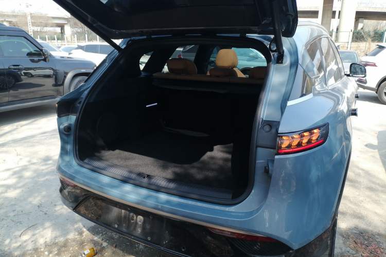 Used VOYAH FREE 2021 Four-Wheel Drive Standard All-Electric Exclusive Luxury Package Trunk