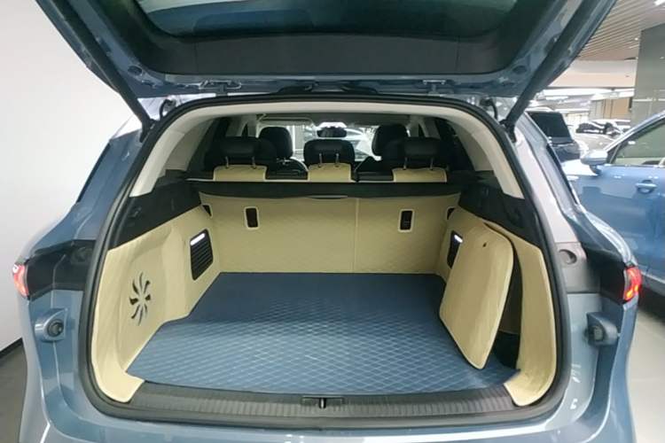 Used VOYAH FREE 2021 Four-Wheel Drive Standard All-Electric Exclusive Luxury Package Trunk